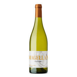 Chardonnay 2025 Blanc