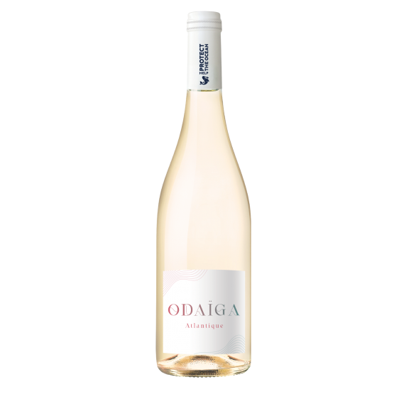 Odaïga Blanc 2024